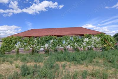 Vand casa la tara - 8