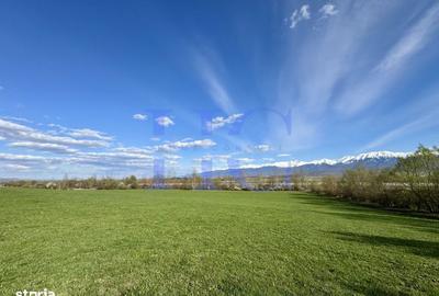 Teren de 10000 mp, în Central