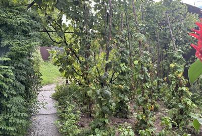 Casă cu 4 camere în Central - 10