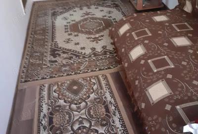 Vind casa (col? de rai) Vind casa (col? de rai) - 2