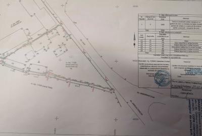 Casă cu 4 camere cu Teren 2463 Mp în Bartolomeu - 5