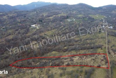 Teren de 14328 mp, în Nucșoara - 5