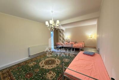 Casa individuala cu 8 camere, 750mp teren, in Mehala - 19