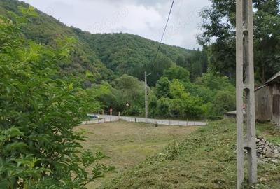 Casă cu Teren 3765 Mp în Mănăstire - 5