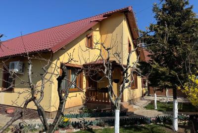 Casă cu 3 camere în Șag - 5