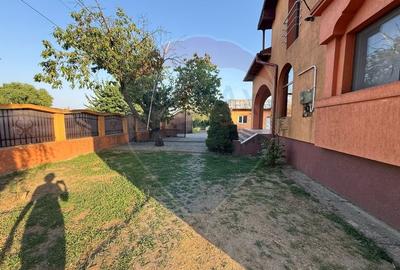 De vanzare Casa / Vila 5 camere + 5.300 mp teren Slobozia Moara, DB - 24
