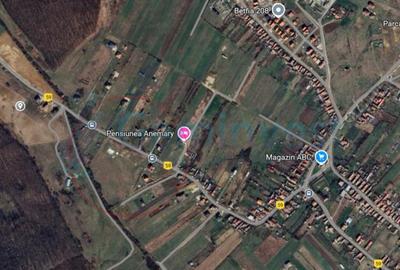 Teren Construcții intravilan de 2089 mp, în Betfia - 2