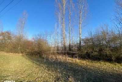 Spațiu comercial, în Veștem - 8