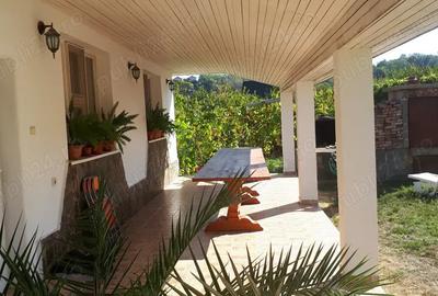 Casa mare de familie + casa secundara, teren 5500 m2 , 300 pomi Oradea, strada Prunilor - 5