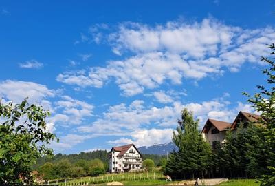 Hotel/Pensiune, de 20 mp, în Șimon - 8