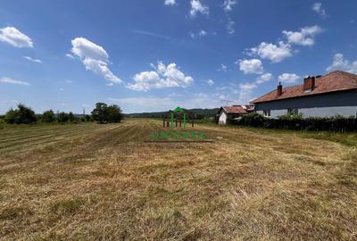 Teren intravilan/Str Balciului/Copacelu - 3