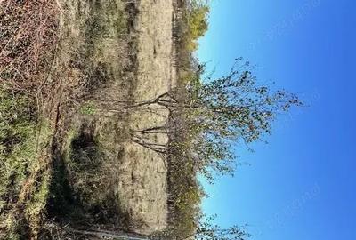 Teren de 680 mp, în Dragșina