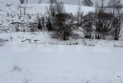 Teren de 8163 mp, în Central