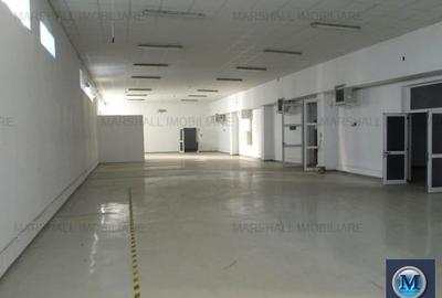 Spatiu industrial de inchiriat in Filipestii de Padure, 1000 mp #13513 - 3
