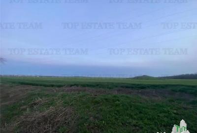 Teren în Central - 8