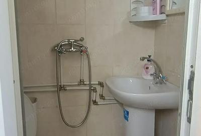 Garsonieră în Șagului