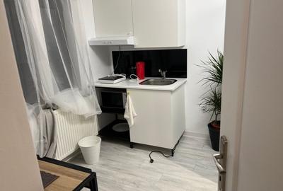 Apartament cu 5 camere decomandat, mobilat în Dorobanți - 10