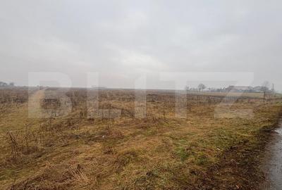 Teren Intravilan, 3000 mp, zona Chintelnic - 3