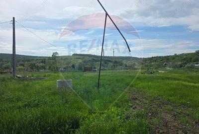 Casă cu Teren 4234 Mp în Deag - 10