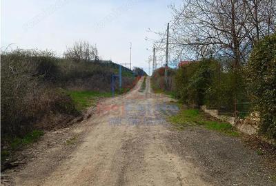 Teren de 1122 mp, în Bârnova - 5