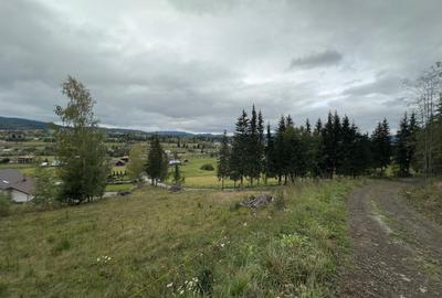 Teren Construcții extravilan de 1000 mp, în Neagra Șarului - 4