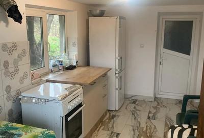 Casa batraneasca renovata de vanzare - 9