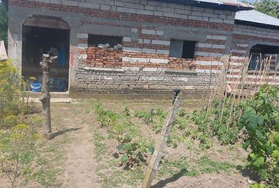 Casa de locuit la curte Casa de locuit la curte - 2