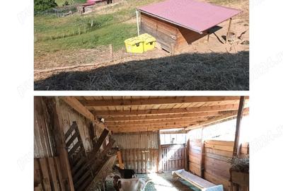 Casă cu 5 camere cu Teren 70000 Mp în Gârliște - 6