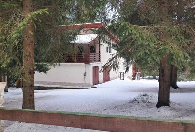 Casă cu Teren 2000 Mp în Dealu Negru - 10