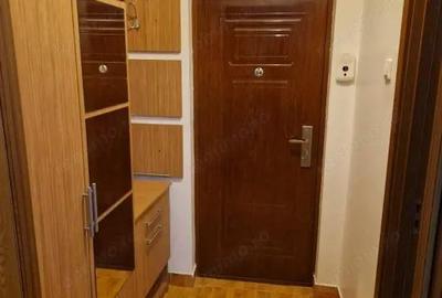 Garsoniera 35 mp Brazda lui Novac Pet Friendly - 1