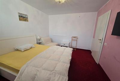 Inchiriere Vila De Lux in Tara Fagarasului Inchiriere Vila De Lux in Tara Fagarasului - 28