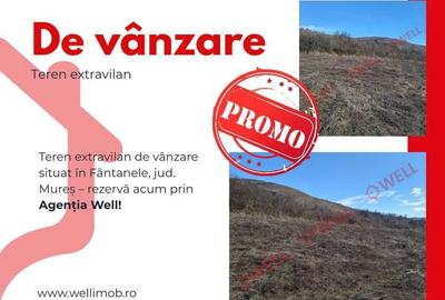 Spațiu comercial, în Fântânele - 7