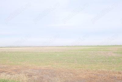 Teren de 270000 mp, în Gherghița - 1