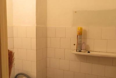 Apartament 3 camere Micalaca - Zona Miorita - 2