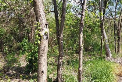 Teren intravilan 3.250 mp in File?ti Ideal pentru casa sau investi?ie! - 17