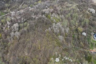 Teren de 4700 mp, în Exterior Vest - 1