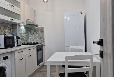 Sos. Viilor - Parc Carol - Apartament 2 camere - renovat - mobilat utilat modern - 9