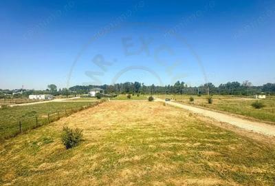 Teren cu dubla deschidere Eden Forest - 6