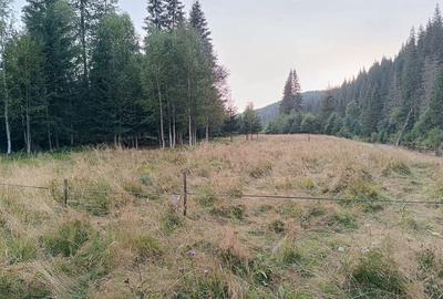 Teren de 2553 mp, în Smida - 5