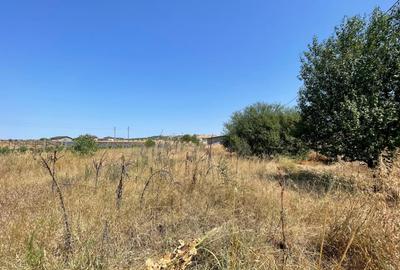 Teren intravilan 1174mp in Dudovicesti cu deschiderea de 41m POT 35% CUT 1,05 - 1