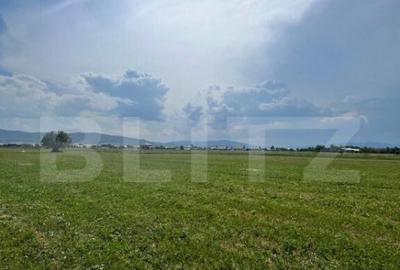 Teren extravilan,5200 mp.Vicovu de Sus - 7