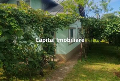 Casă cu Teren 1280 Mp în Central