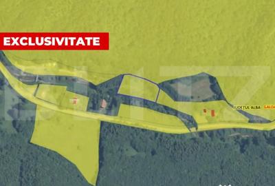 Teren de 5542 mp, în Întregalde - 2