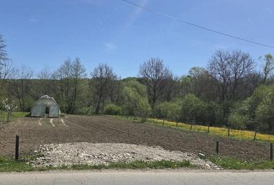 Teren de 1168 mp, în Vâlsănești - 4