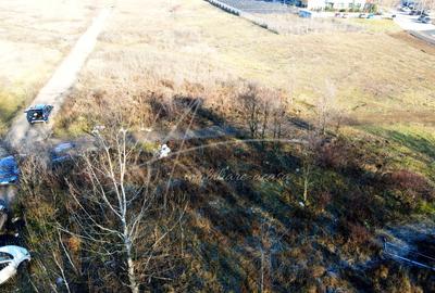 Teren intravilan, 2 fronturi, Drumul Padurea Pustnicu 65 - Greenfield - 6