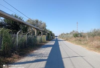 OCAZIE! CAP MIDIA -teren intravilan cu PUZ -5.000 mp, situat lângă mare! - 10