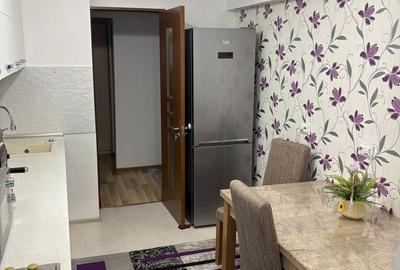 Apartament cu 3 camere decomandat, mobilat în Banat - 12