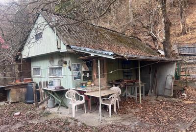 Agapia , casa si teren la strada , langa padure si Manastirea Agapia - 12