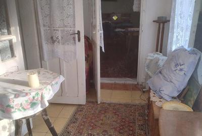 Casă cu 3 camere cu Teren 1168 Mp în Bivolari - 9