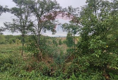 Teren Construcții intravilan de 2341 mp, în Uileacu de Munte - 15